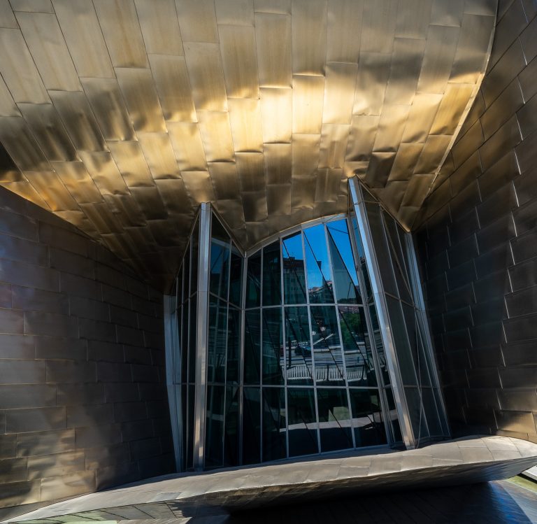 Museo Guggenheim Bilbao Frank Gehry Detalle