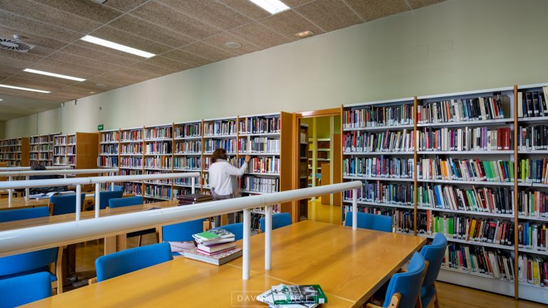 Biblioteca Palacio Marqué de Perales