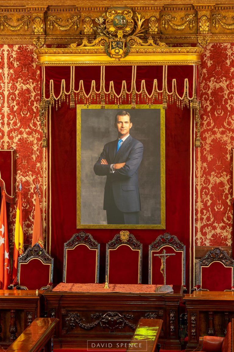 Cuadro del Rey Felipe VI en Salón Plenos Madrid