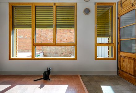 Gato en Interior Showpass Barcelona con Persiana Metalunic
