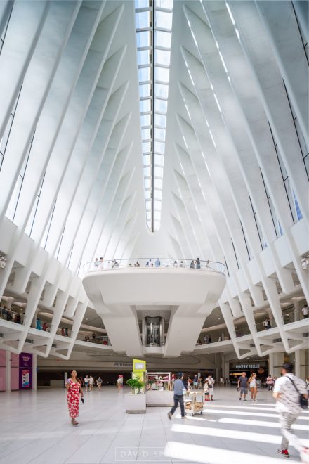 The Oculus At World Trade Center Transportation Hub
